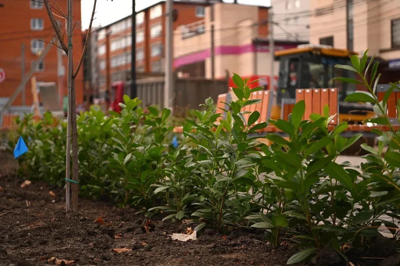 В Краснодаре завершают благоустройство сквера Российского В Краснодаре завершают благоустройство сквера Российского
