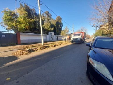 Покос сорной растительности и уборка листьев по ул. Краснодарской, 200