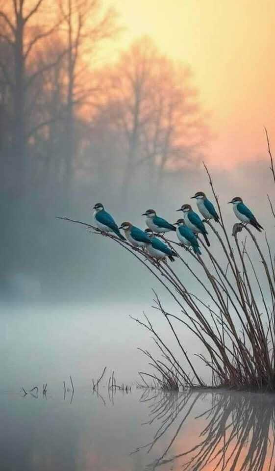 Доброе утро!. На календаре заключительный – третий - осенний месяц, 1 ноября, суббота, но как будто понедельник… Зато впереди три выходных!