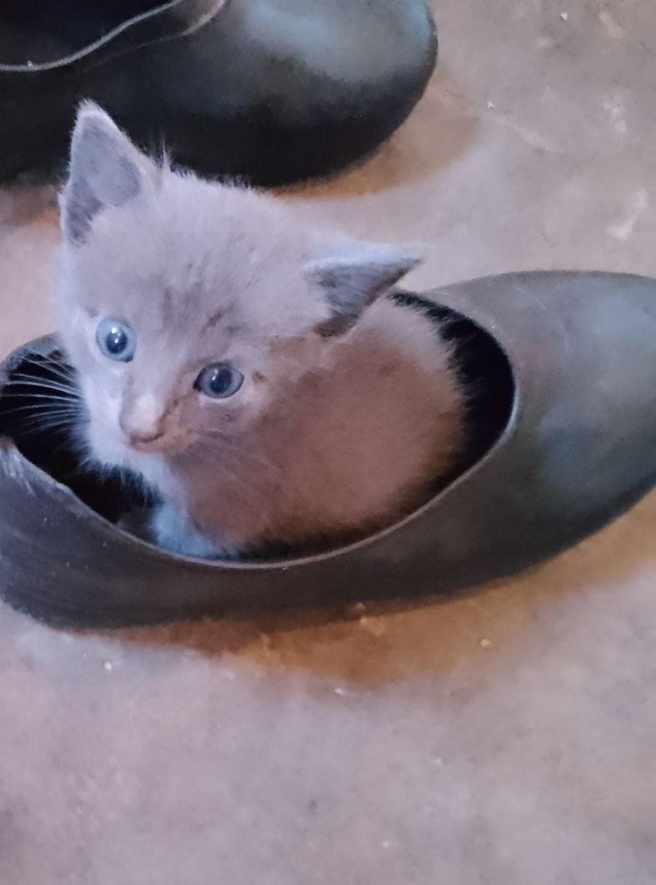 Доброе утро, Кубань!. Краснодар +16 °С Доброе утро, Кубань!. Краснодар +16 °С