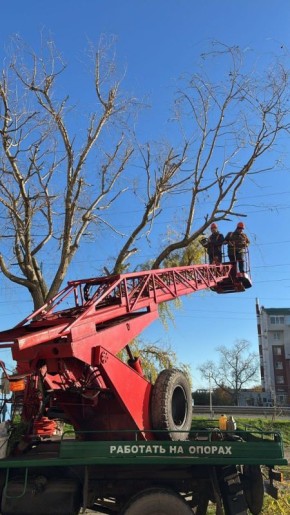 Спил сухостоев на детской площадке по ул. Коммунистической, 20/2
