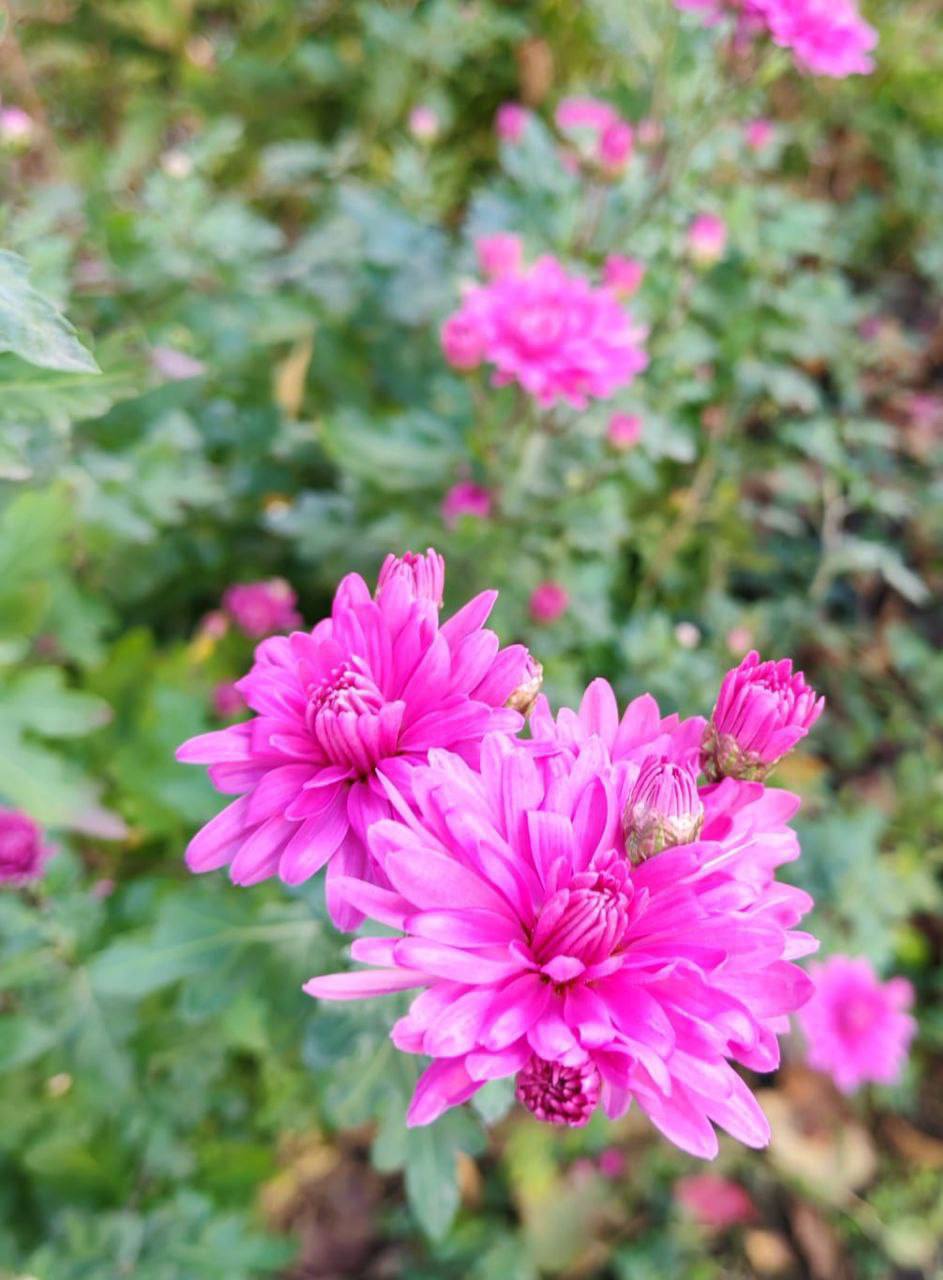 О погоде на 1 ноября. В Краснодарском крае переменная облачность О погоде на 1 ноября. В Краснодарском крае переменная облачность