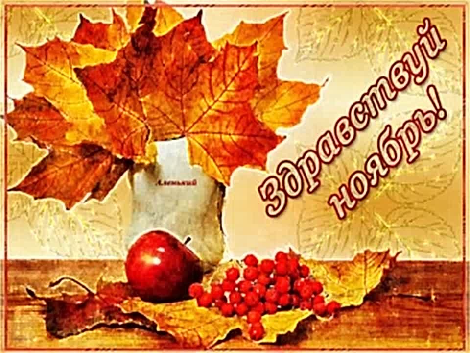 Ноябрь в России обещает быть теплее обычного