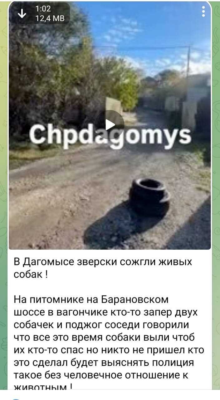 В ходе мониторинга сети Интернет сотрудники полиции выявили материал о предполагаемом факте жестокого обращения с животными