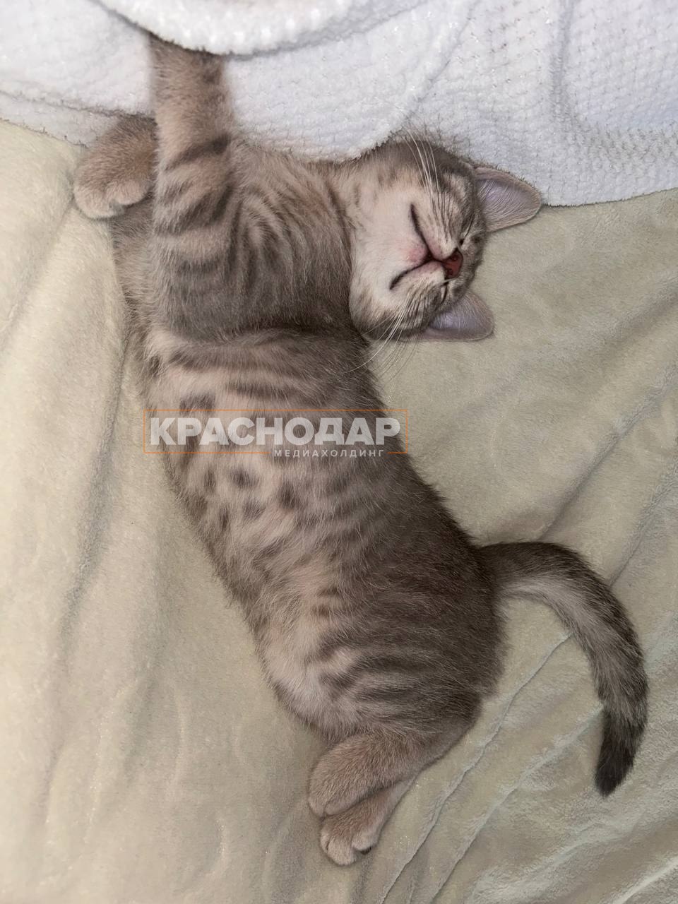 Голосуем за лучший «Краснокадр» Голосуем за лучший «Краснокадр»