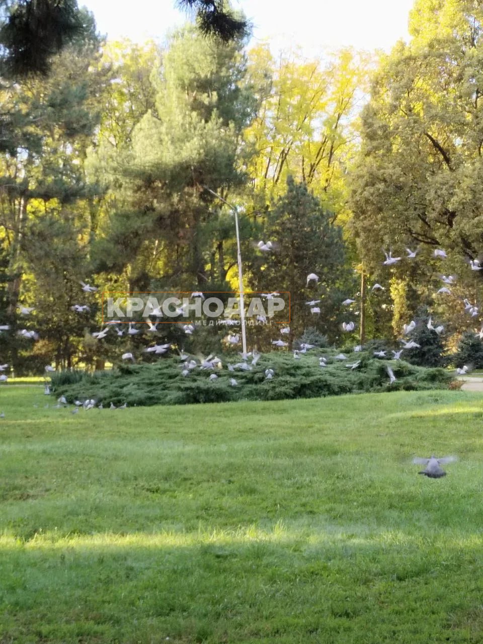 Голосуем за лучший «Краснокадр» Голосуем за лучший «Краснокадр»