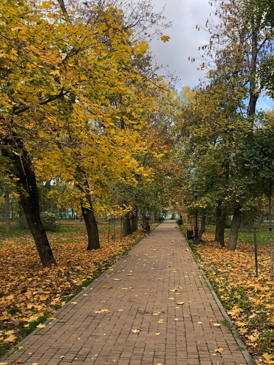 О погоде на 2 ноября. В Краснодарском крае переменная облачность О погоде на 2 ноября. В Краснодарском крае переменная облачность