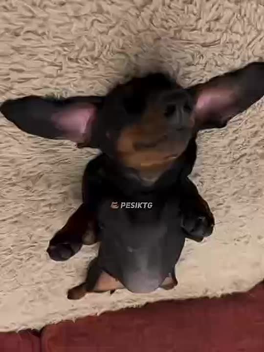 Состояние: воскресенье после 6 дневной рабочей недели