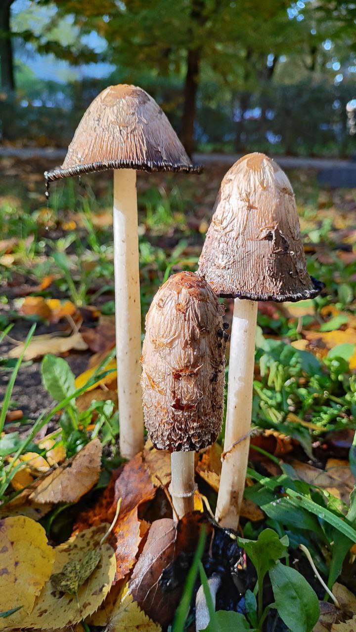 О погоде на 2 ноября. В Краснодарском крае переменная облачность О погоде на 2 ноября. В Краснодарском крае переменная облачность