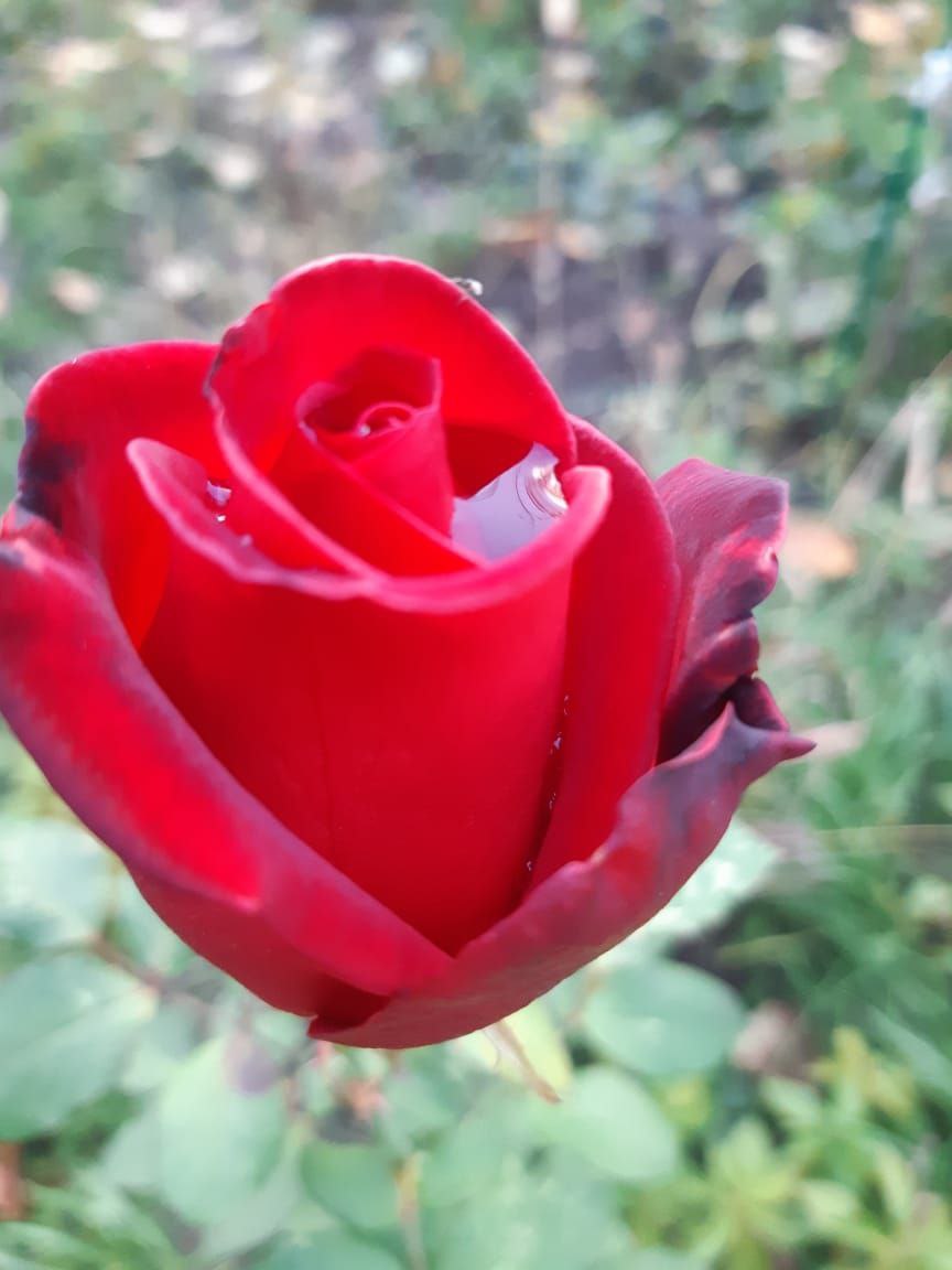 О погоде на 2 ноября. В Краснодарском крае переменная облачность О погоде на 2 ноября. В Краснодарском крае переменная облачность