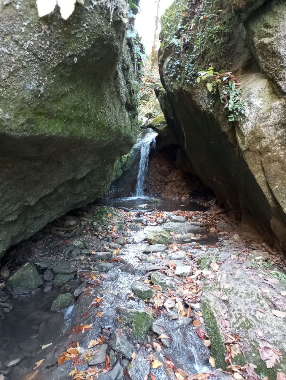 О погоде на 2 ноября. В Краснодарском крае переменная облачность О погоде на 2 ноября. В Краснодарском крае переменная облачность