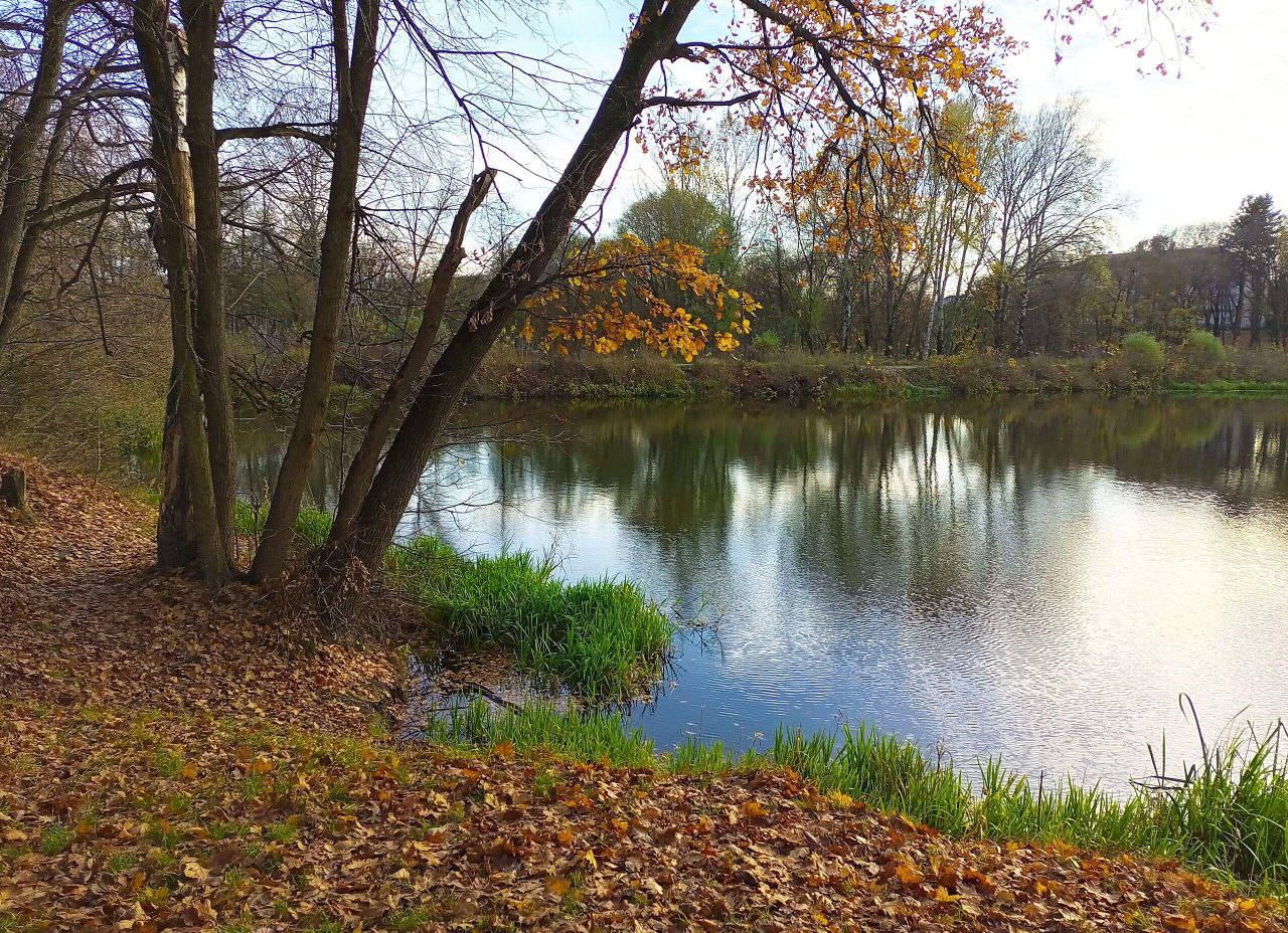 О погоде на 2 ноября. В Краснодарском крае переменная облачность