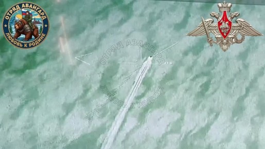 Война дронов в Черном море