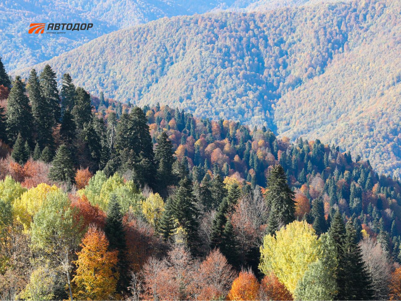 Не часто, но осень на курортах Красной Поляны бывает ранней и холодной Не часто, но осень на курортах Красной Поляны бывает ранней и холодной