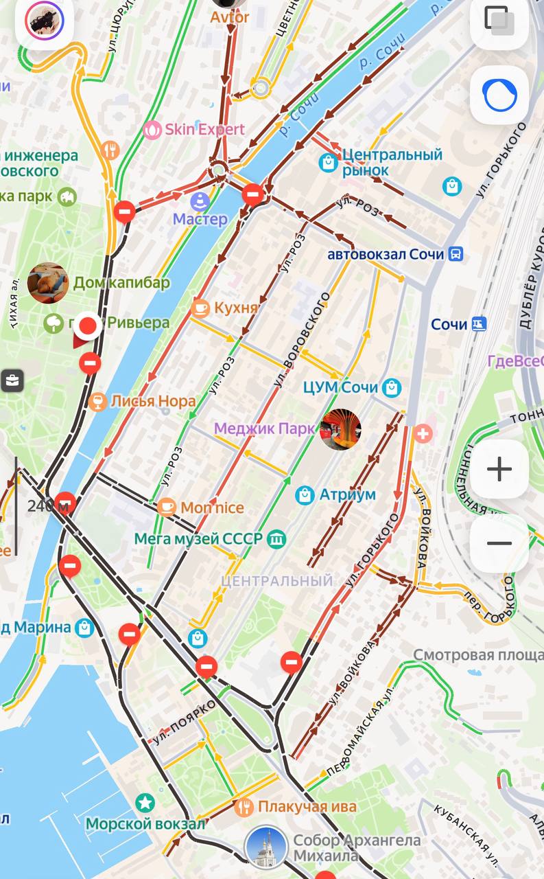 Ну что, сочинцы, успели доехать до места назначения до того, как дороги перекрыли? Если нет - держитесь