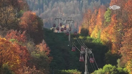 11111       1  2025    12  2026 