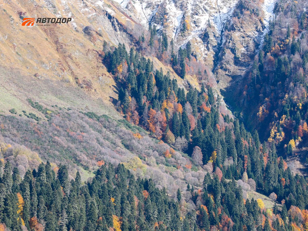 Не часто, но осень на курортах Красной Поляны бывает ранней и холодной Не часто, но осень на курортах Красной Поляны бывает ранней и холодной