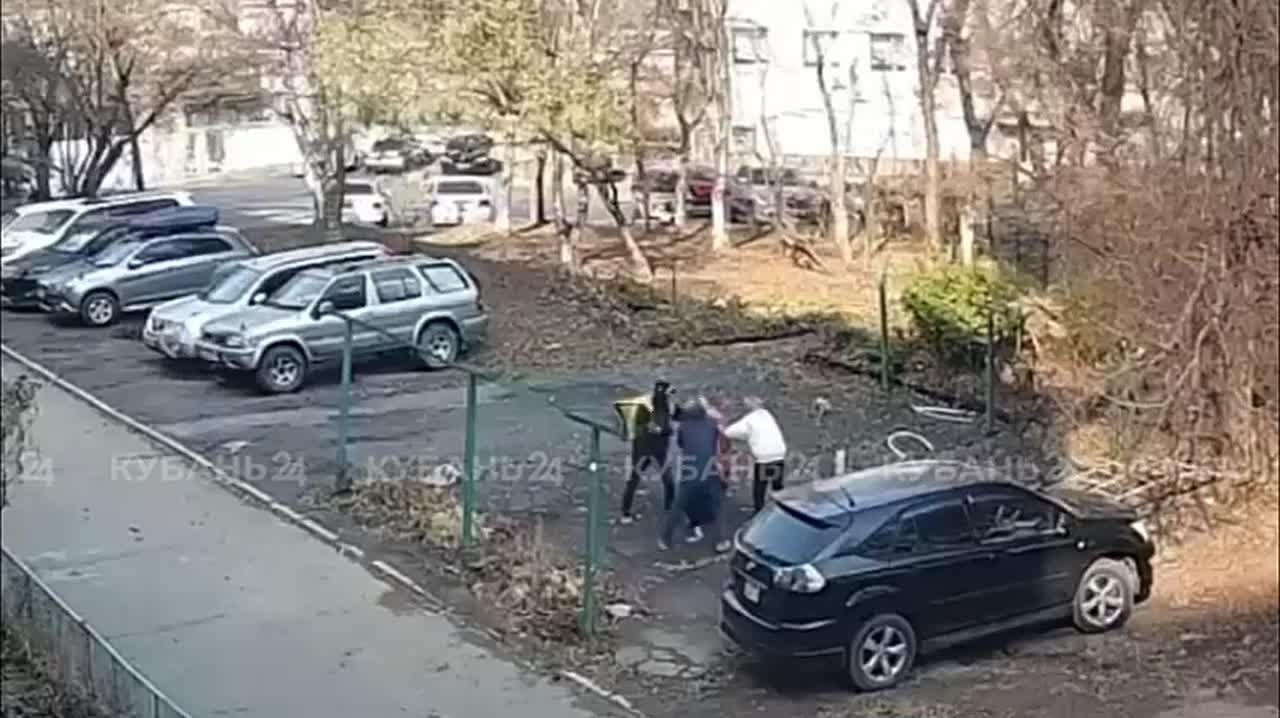 Пенсионерка с бревном напала на своих соседок, а потом их пытались разнять мужчины