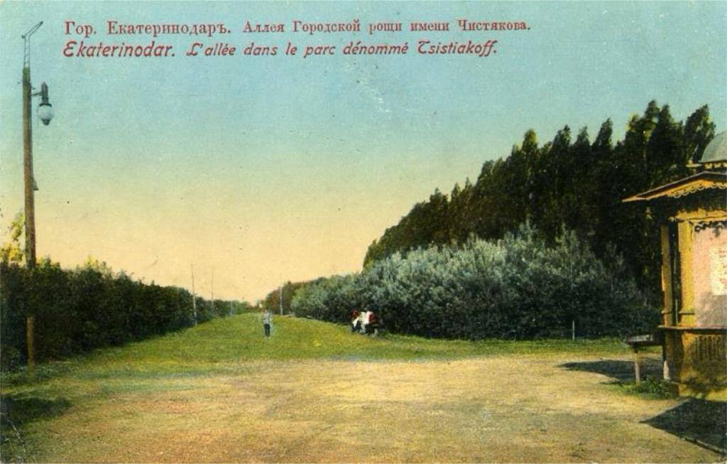 Чистяковской Роще исполнилось 125 лет Чистяковской Роще исполнилось 125 лет