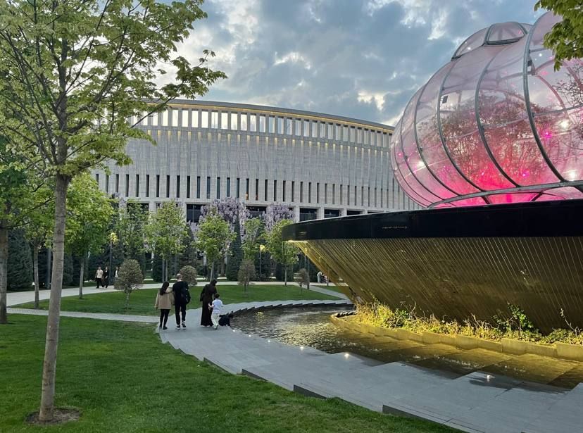 В зимнюю «одежду» начали укутывать экзотические деревья в парке «Краснодар»