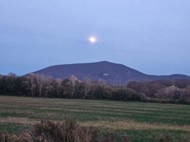 От подписчиков. Фотография сделана в Дефановке