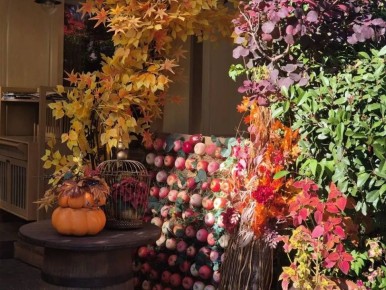 Любуемся самой шумной и Красной