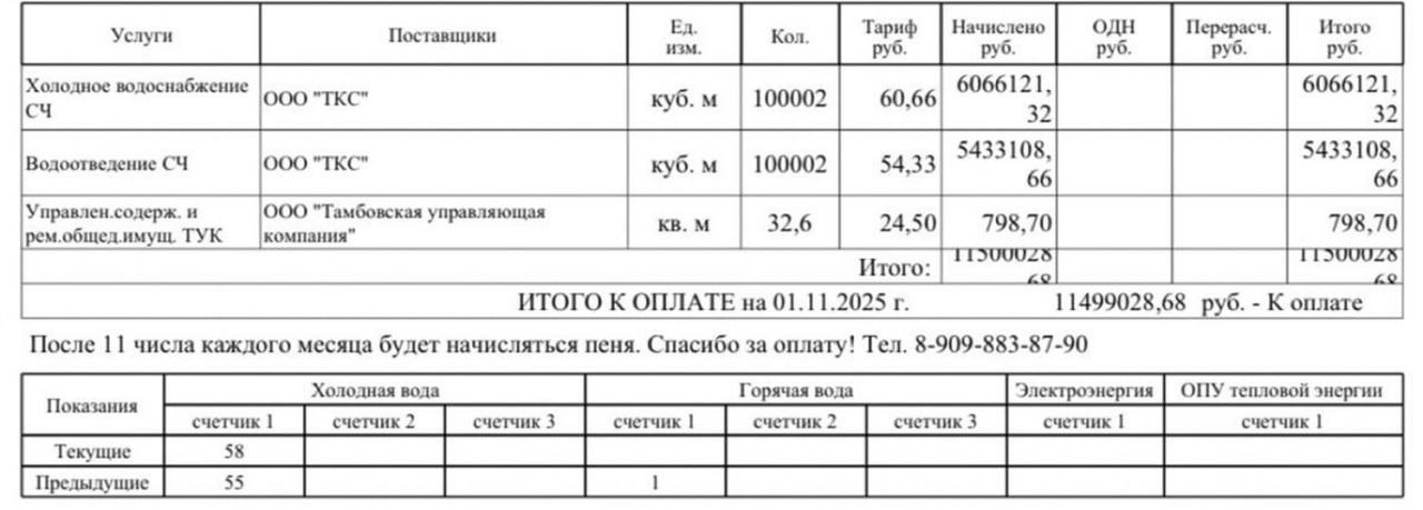 Россиянке пришел счёт за воду на 11,5 млн рублей