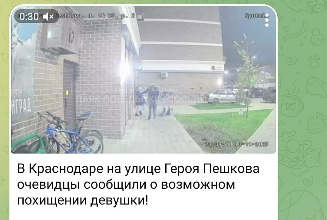 Ночью в отдел полиции (Прикубанского округа) УМВД России по г. Краснодару поступило сообщение от очевидца о том, что на улице Героя Пешкова краевой столицы неизвестные силой посадили девушку в отечественный автомобиль...