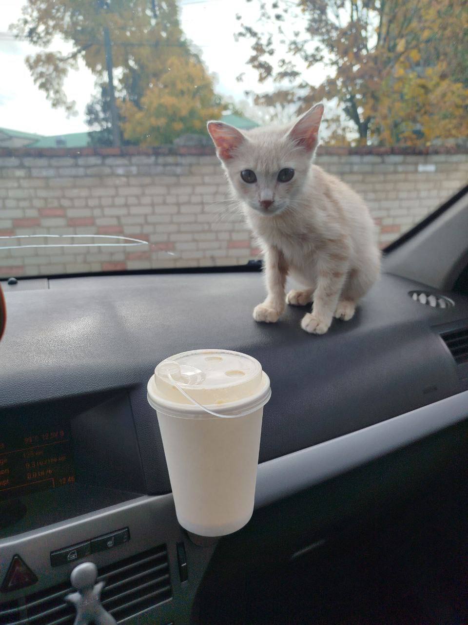 О погоде на 4 ноября. В Краснодарском крае переменная облачность О погоде на 4 ноября. В Краснодарском крае переменная облачность