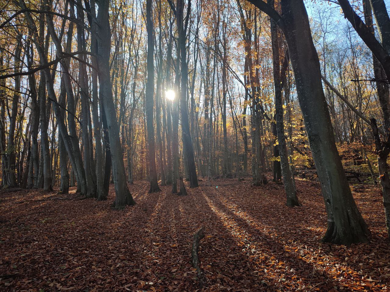 Будет сухо. Дождики? Не видели… В Краснодарском крае в ноябре будет аномально сухо Будет сухо. Дождики? Не видели… В Краснодарском крае в ноябре будет аномально сухо