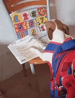 Уменьшить летние каникулы на целый месяц предложили в России