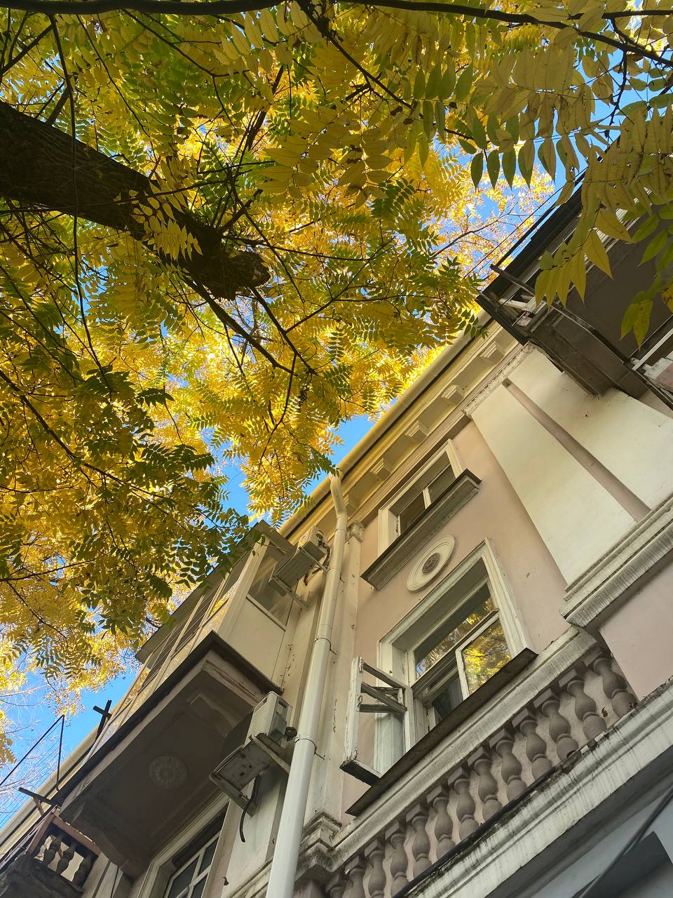 В праздничный вторник ноябрь продолжит баловать хорошей погодой