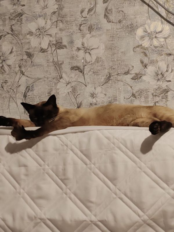 Доброе утро, Кубань!. Краснодар +17 °С Доброе утро, Кубань!. Краснодар +17 °С