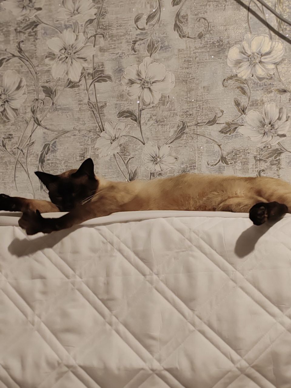 Доброе утро, Кубань!. Краснодар +17 °С Доброе утро, Кубань!. Краснодар +17 °С