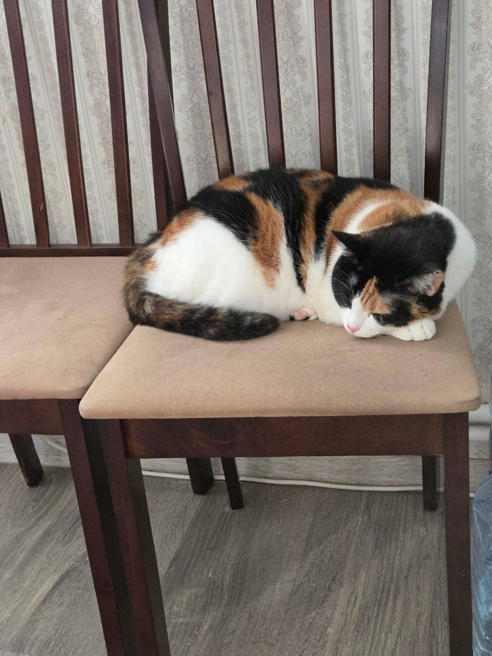 О погоде на 5 ноября. В Краснодарском крае облачно с прояснениями О погоде на 5 ноября. В Краснодарском крае облачно с прояснениями