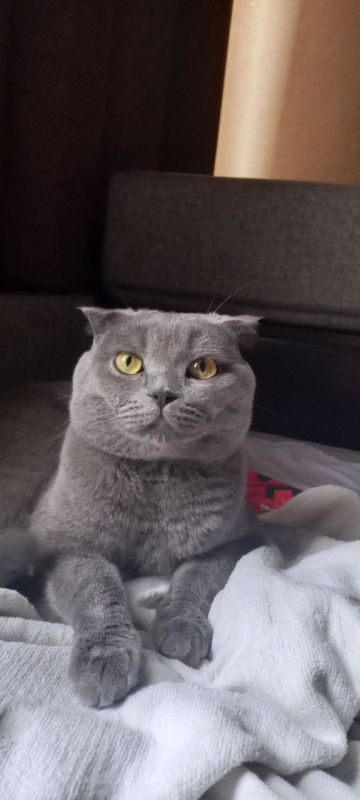 Доброе утро, Кубань!. Краснодар +17 °С Доброе утро, Кубань!. Краснодар +17 °С