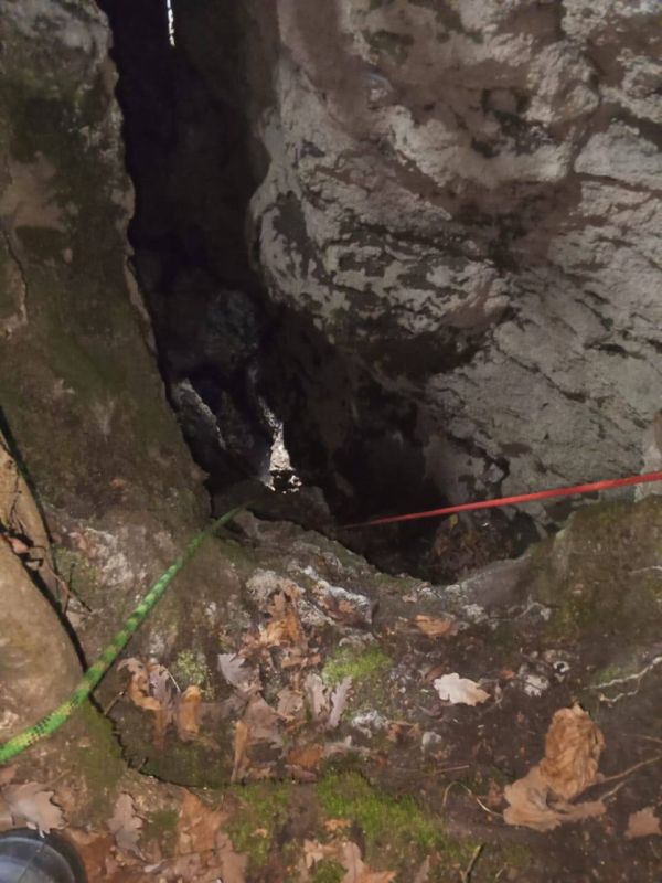 Собака упала в 10-метровую расщелину — ее спасли сотрудники Лабинского отряда «Кубань-СПАС» Собака упала в 10-метровую расщелину — ее спасли сотрудники Лабинского отряда «Кубань-СПАС»