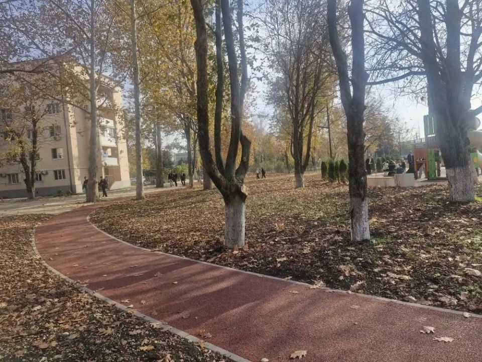 В станице Динской благоустроили зеленую зону В станице Динской благоустроили зеленую зону