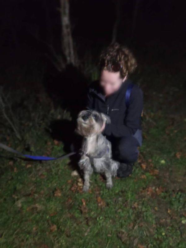 Собака упала в 10-метровую расщелину — ее спасли сотрудники Лабинского отряда «Кубань-СПАС»