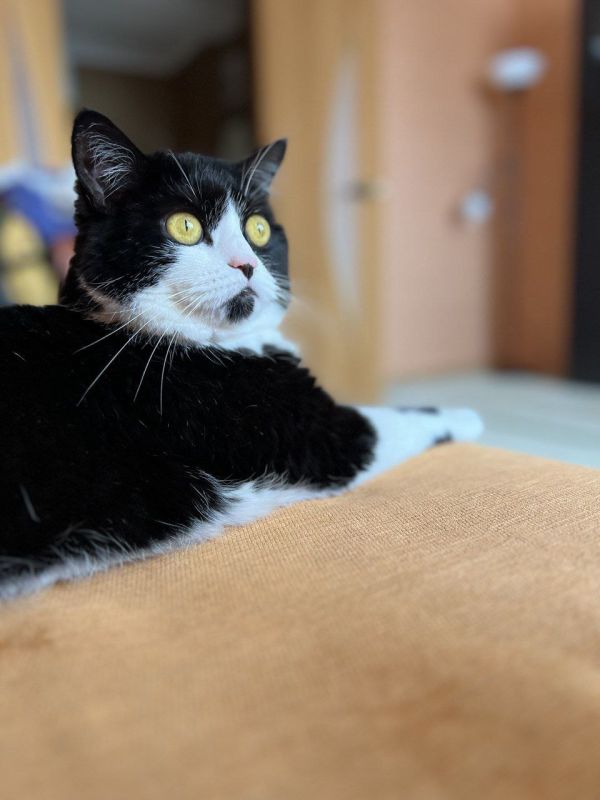 Доброе утро, Кубань!. Краснодар +17 °С Доброе утро, Кубань!. Краснодар +17 °С