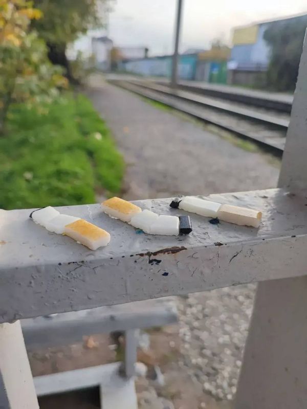 Краснодарский художник создал мозаику в виде окурков