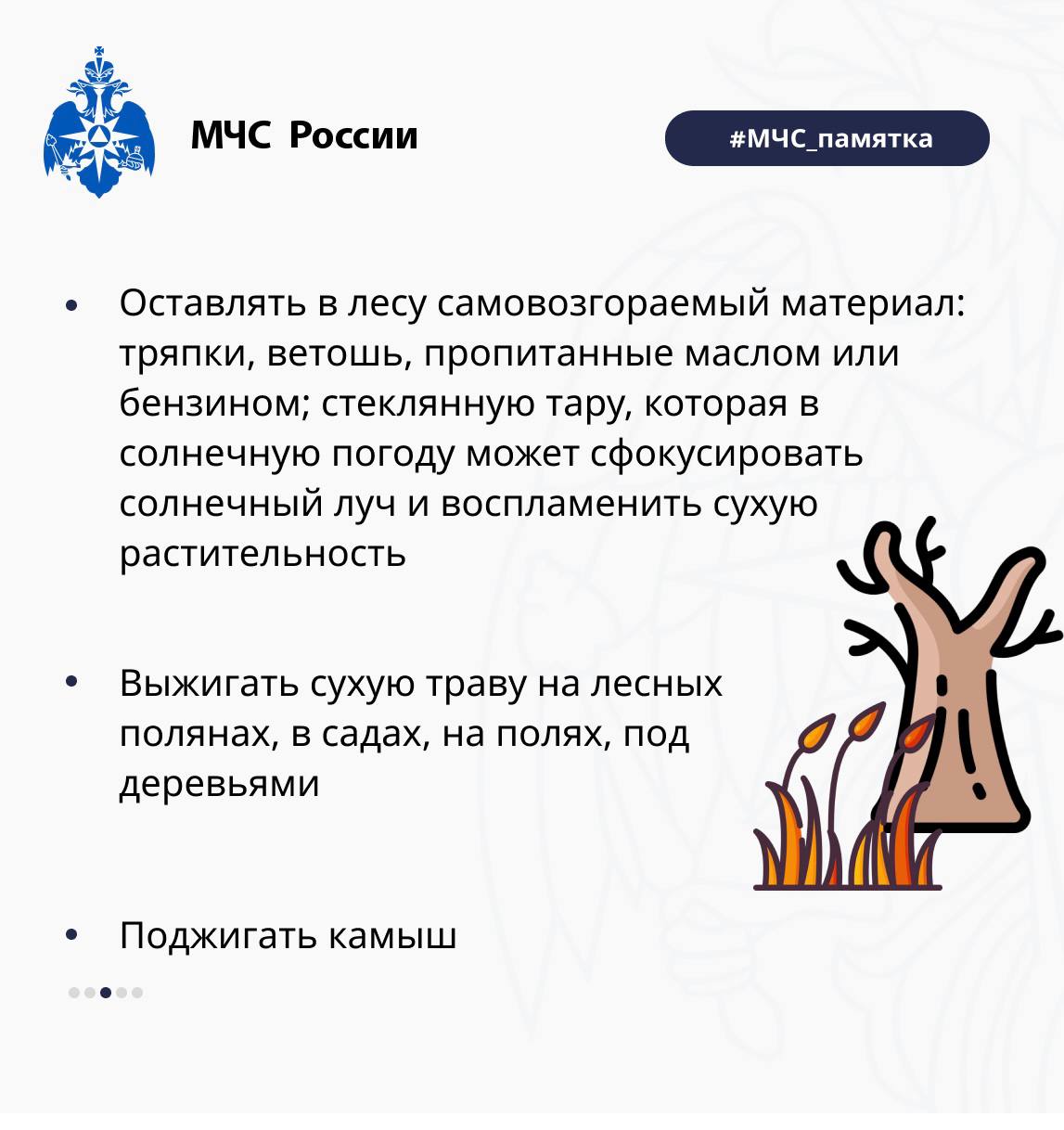 Лес — наше бесценное богатство, источник чистого воздуха Лес — наше бесценное богатство, источник чистого воздуха