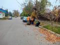 Уборка наносного мусора и опавшей листвы по ул. Московской