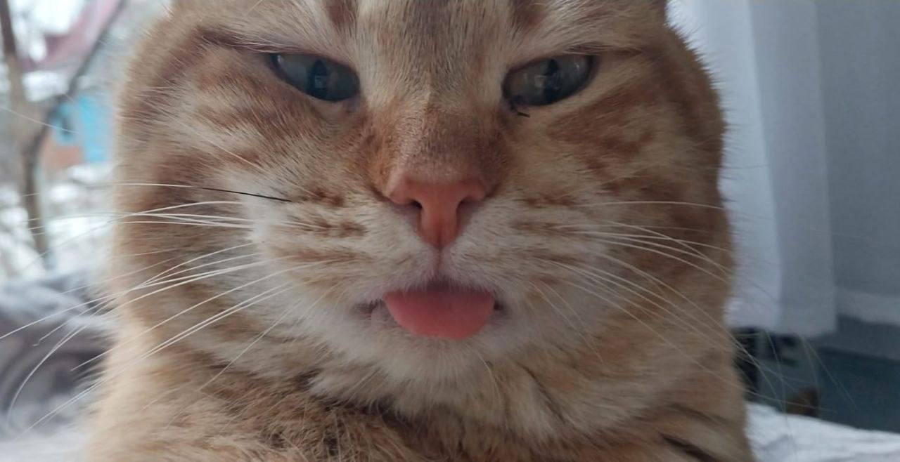 О погоде на 6 ноября. В Краснодарском крае переменная облачность