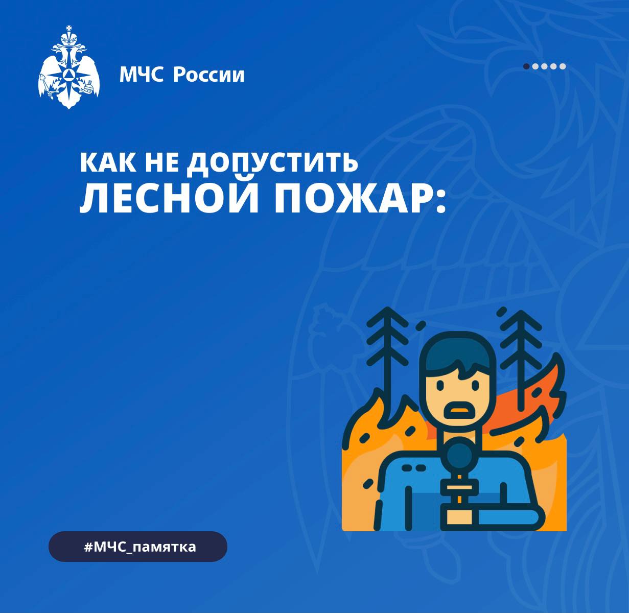 Лес — наше бесценное богатство, источник чистого воздуха