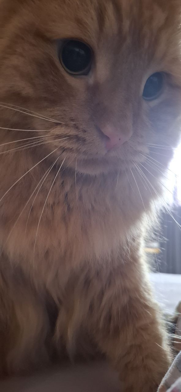 Доброе утро, Кубань!. Краснодар +17 °С Доброе утро, Кубань!. Краснодар +17 °С