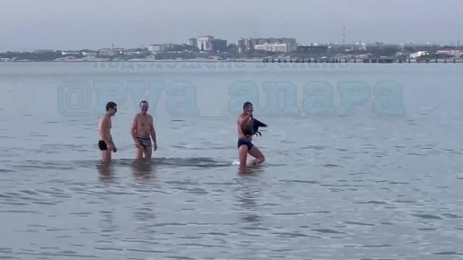 Мужчины жестоко обращались с бакланом на пляже в Анапе
