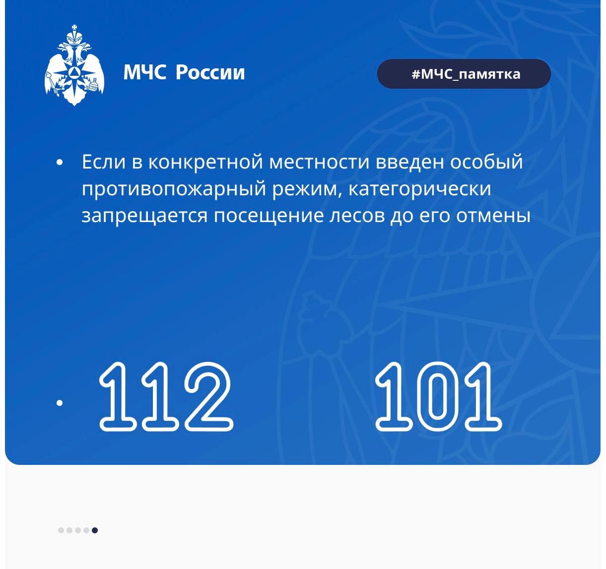 Лес — наше бесценное богатство, источник чистого воздуха Лес — наше бесценное богатство, источник чистого воздуха