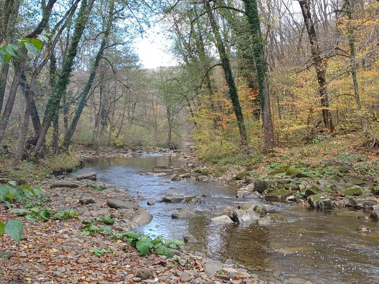 О погоде на 6 ноября. В Краснодарском крае переменная облачность О погоде на 6 ноября. В Краснодарском крае переменная облачность