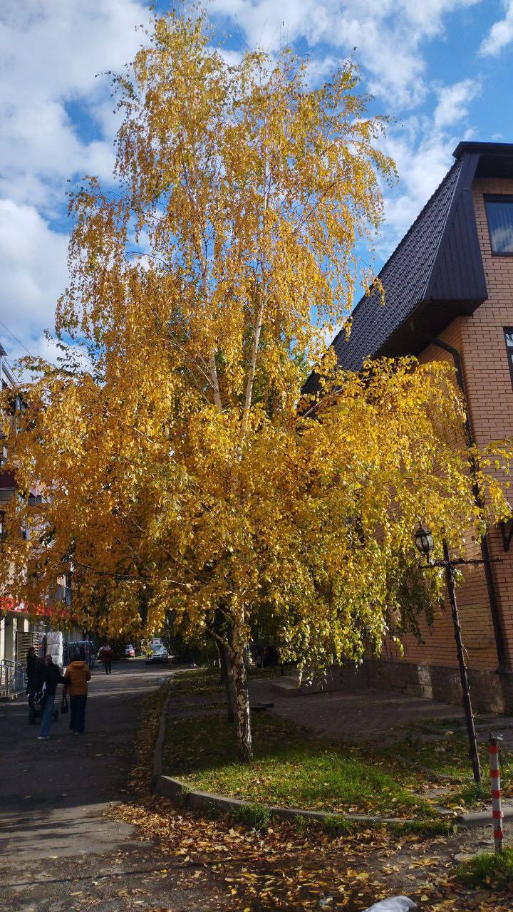 О погоде на 6 ноября. В Краснодарском крае переменная облачность О погоде на 6 ноября. В Краснодарском крае переменная облачность